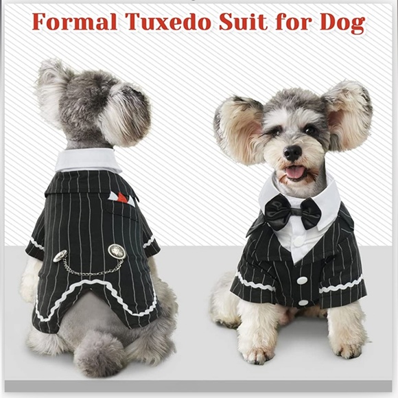 dentrun dog bow tie striped tuxedo suit with buttons - Picture 3 of 13